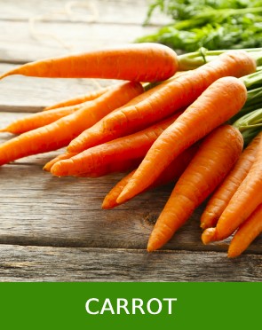 Carrot