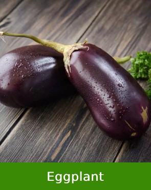 Eggplant