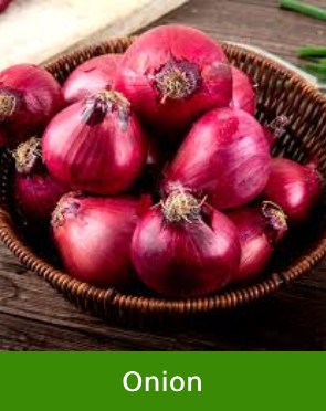 Onion